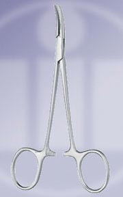 Pasalidognathus modestus　69mm 62mm Psalidognathus modestus - Wikispecies