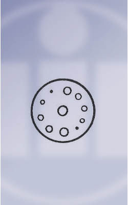 Product Thumb 1